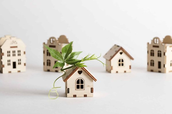 Is It Possible to Retrofit a Panoramic Sunroof in a Mercedes-Benz C-Class?